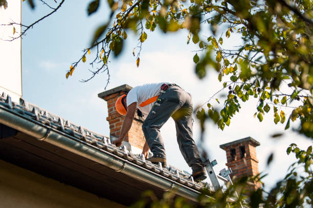 Best Flat Roof Repair Services  in Kinston, NC
