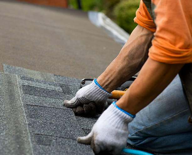 Roof Gutter Cleaning in Kinston, NC